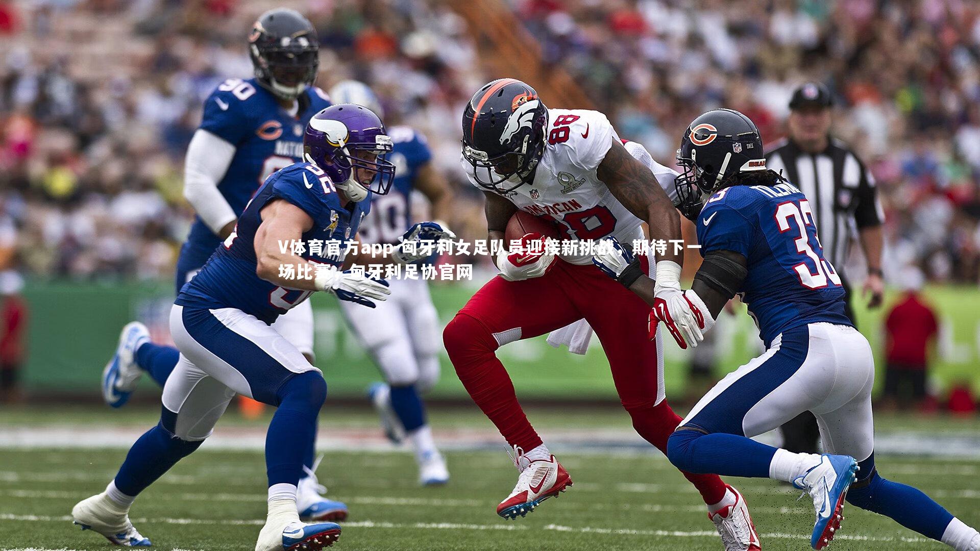 匈牙利女足队员迎接新挑战,期待下一场比赛,匈牙利足协官网