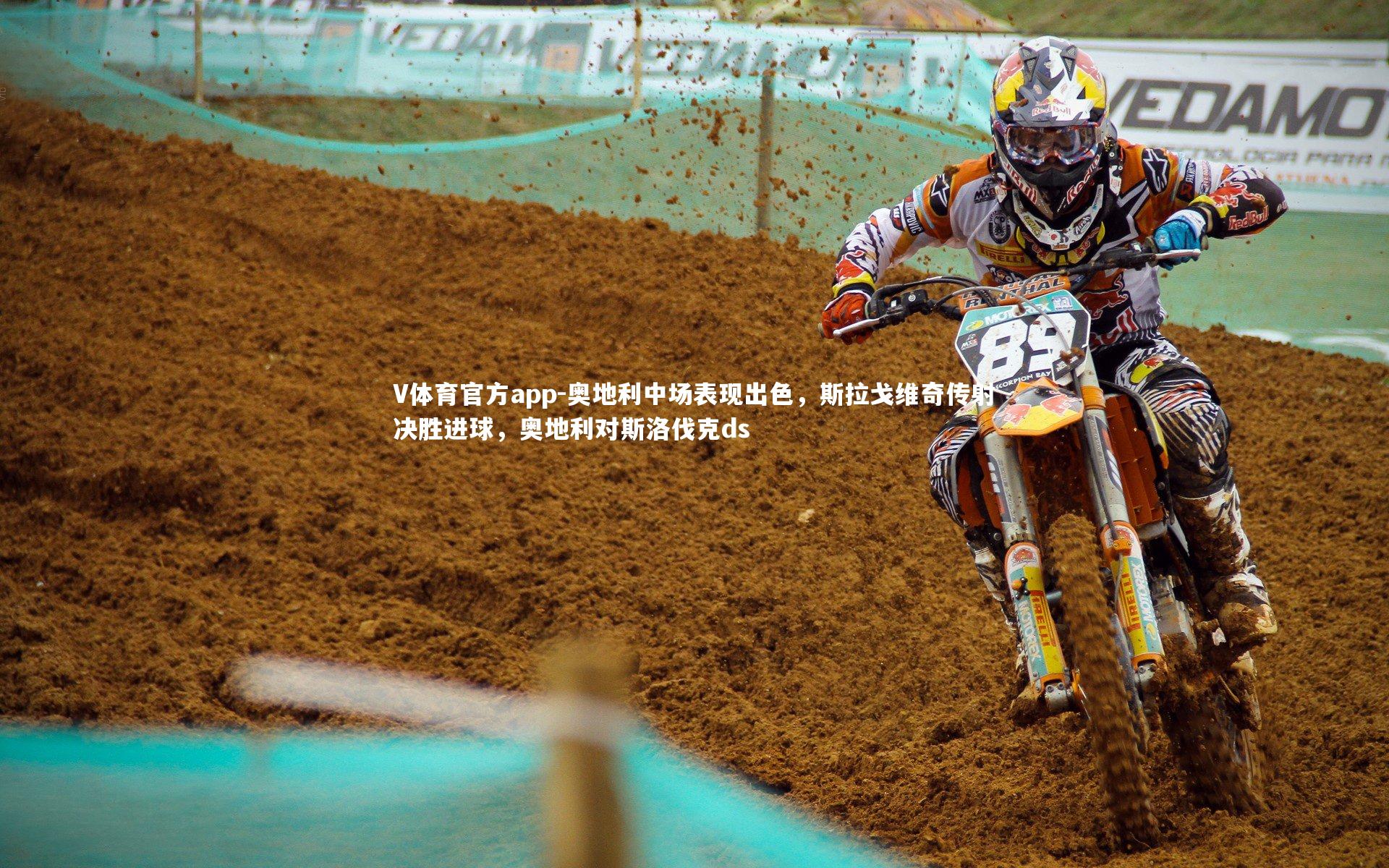 V体育官方app-奥地利中场表现出色，斯拉戈维奇传射决胜进球，奥地利对斯洛伐克ds