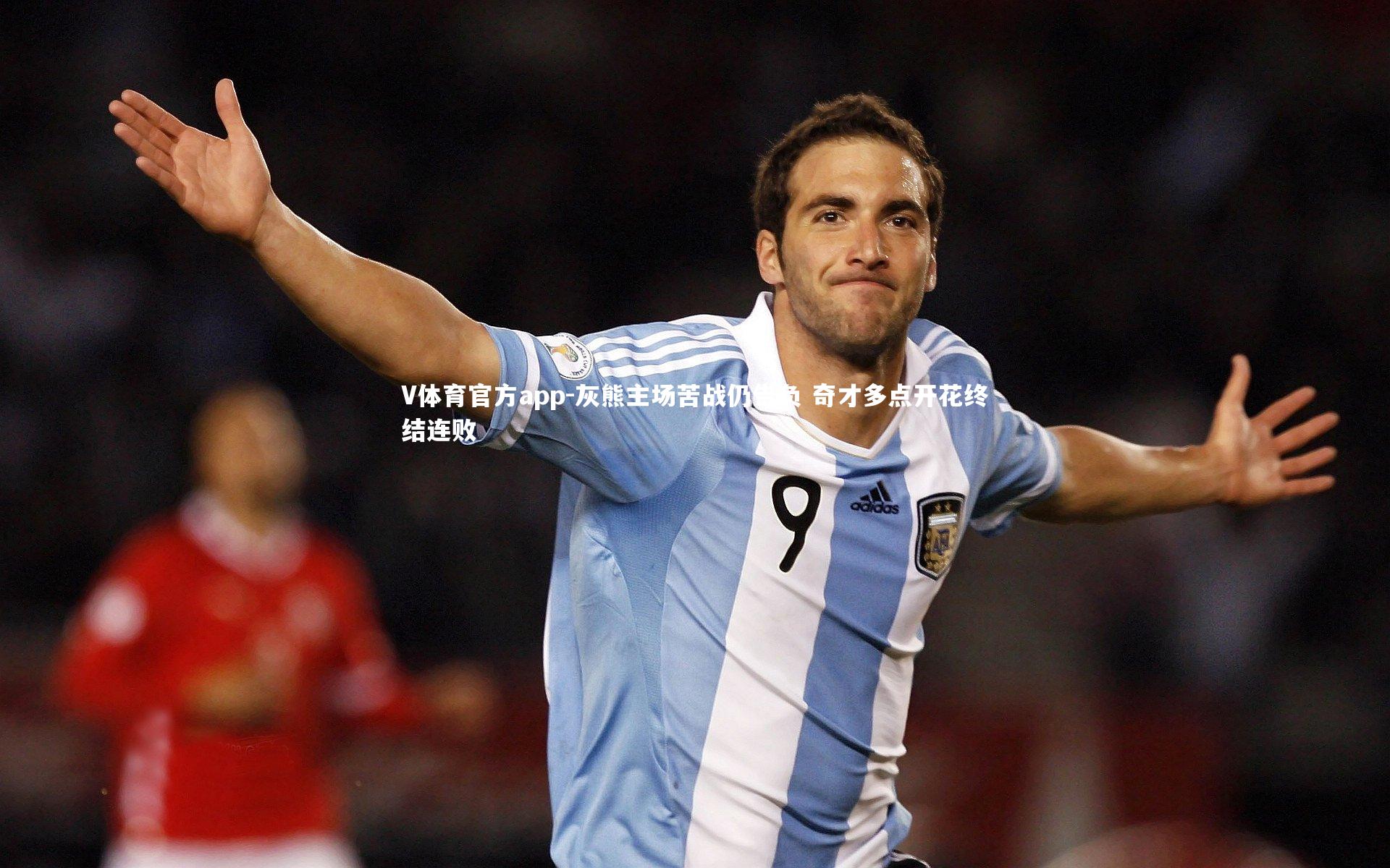 灰熊主场苦战仍告负 奇才多点开花终结连败