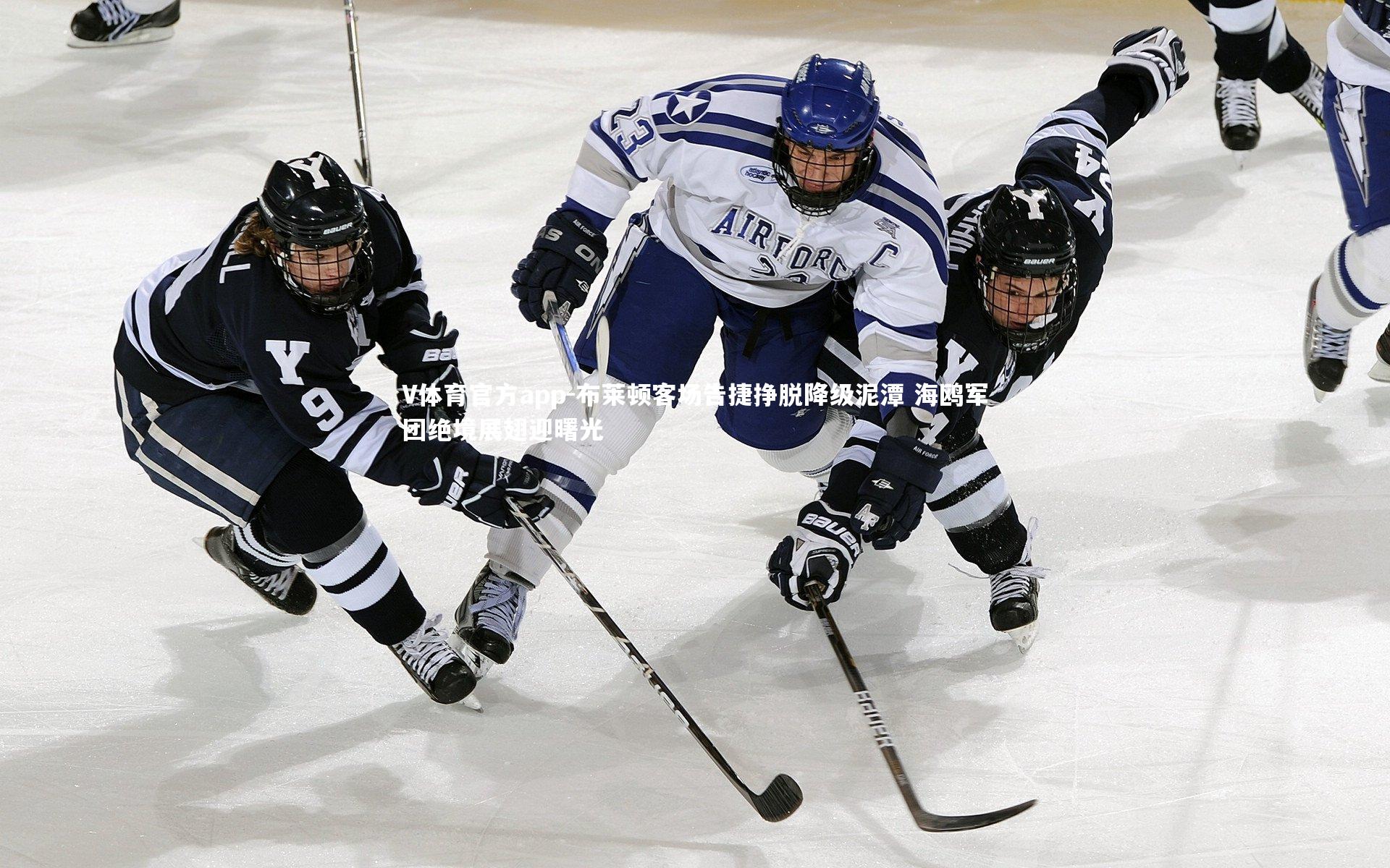 布莱顿客场告捷挣脱降级泥潭 海鸥军团绝境展翅迎曙光